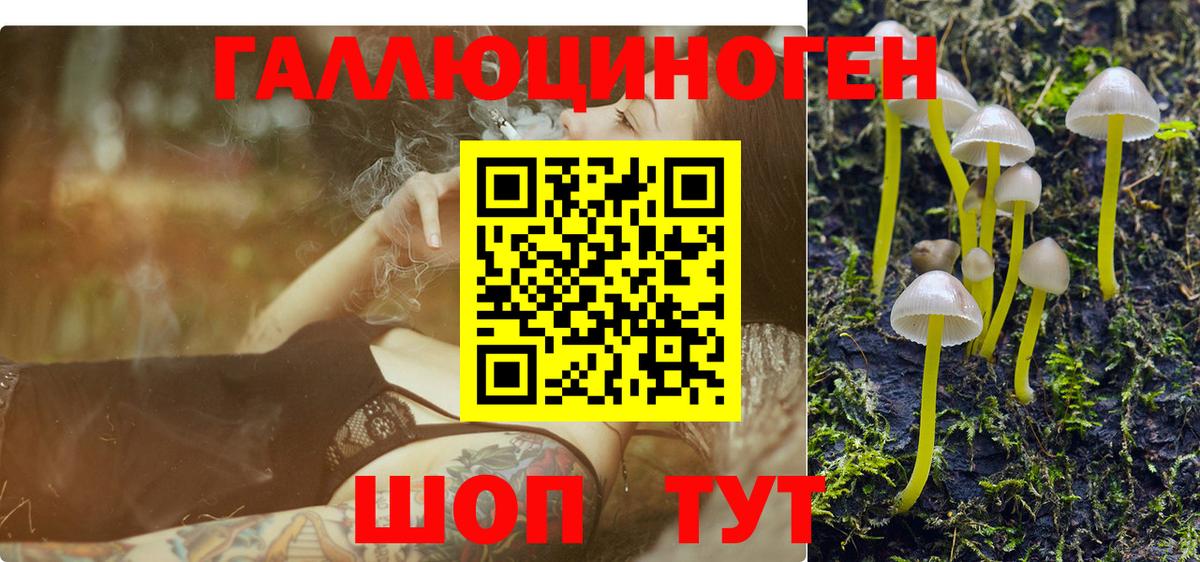 Галлюциногенные грибы Cubensis  Вход с VPN  где можно купить   Томск 